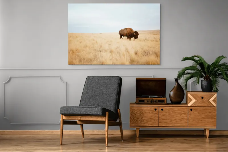 Tablou Canvas, "Bizon solitar în savana aridă", Bizon, Prerie, Cer, Solitudine, Peisaj, Natura, Liniste, 150 x 100 cm – poza 8