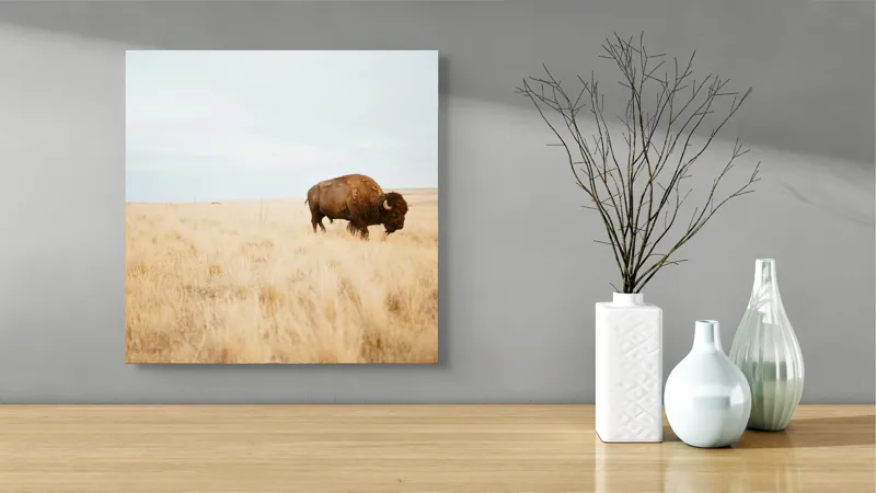 Tablou Canvas, "Bizon solitar în savana aridă", Bizon, Prerie, Cer, Solitudine, Peisaj, Natura, Liniste, 50 x 50 cm – poza 3