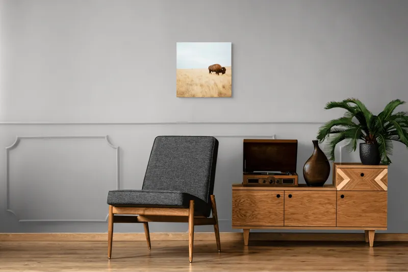 Tablou Canvas, "Bizon solitar în savana aridă", Bizon, Prerie, Cer, Solitudine, Peisaj, Natura, Liniste, 50 x 50 cm – poza 6