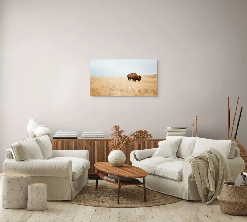 Tablou Canvas, "Bizon solitar în savana aridă", Bizon, Prerie, Cer, Solitudine, Peisaj, Natura, Liniste, 90 x 50 cm – poza 4