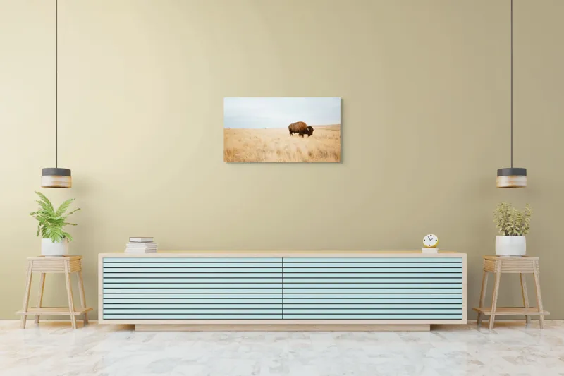 Tablou Canvas, "Bizon solitar în savana aridă", Bizon, Prerie, Cer, Solitudine, Peisaj, Natura, Liniste, 90 x 50 cm – poza 5