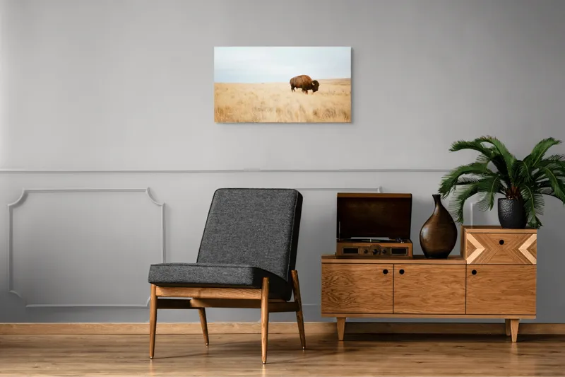 Tablou Canvas, "Bizon solitar în savana aridă", Bizon, Prerie, Cer, Solitudine, Peisaj, Natura, Liniste, 90 x 50 cm – poza 6