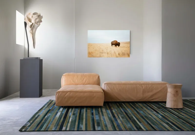 Tablou Canvas, "Bizon solitar în savana aridă", Bizon, Prerie, Cer, Solitudine, Peisaj, Natura, Liniste, 90 x 50 cm – poza 8