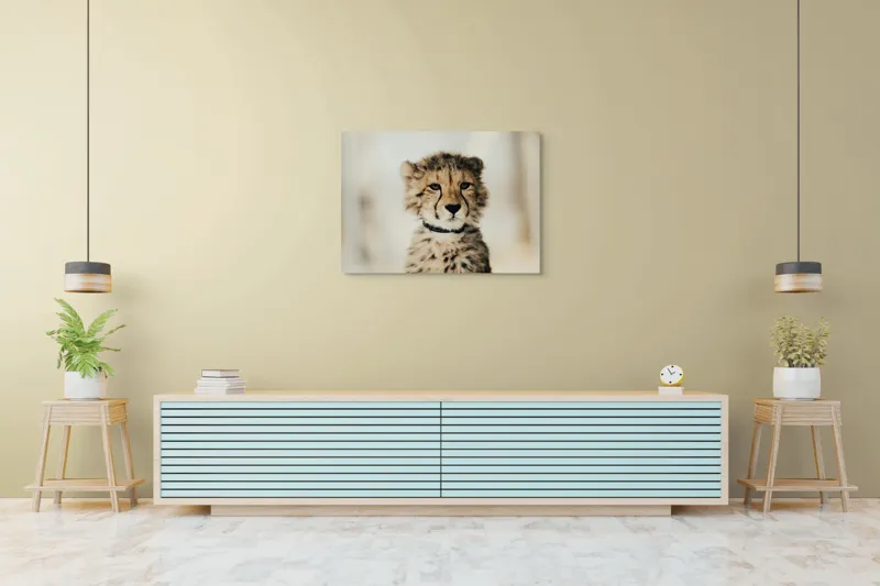Tablou Canvas, "Tânărul ghepard pradă viselor stelare", Sorry, I can't identify animals in photos., 100 x 70 cm – poza 4