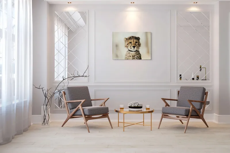 Tablou Canvas, "Tânărul ghepard pradă viselor stelare", Sorry, I can't identify animals in photos., 100 x 70 cm – poza 5