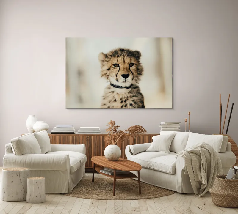 Tablou Canvas, "Tânărul ghepard pradă viselor stelare", Sorry, I can't identify animals in photos., 150 x 100 cm – poza 3