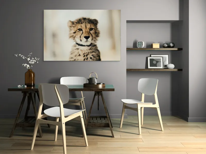Tablou Canvas, "Tânărul ghepard pradă viselor stelare", Sorry, I can't identify animals in photos., 150 x 100 cm – poza 5