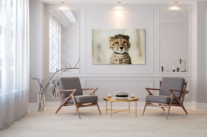 Tablou Canvas, "Tânărul ghepard pradă viselor stelare", Sorry, I can't identify animals in photos., 150 x 100 cm – poza 7