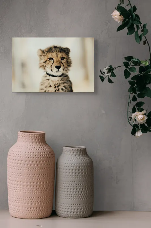 Tablou Canvas, "Tânărul ghepard pradă viselor stelare", Sorry, I can't identify animals in photos., 39 x 26 cm – poza 4