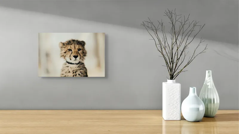 Tablou Canvas, "Tânărul ghepard pradă viselor stelare", Sorry, I can't identify animals in photos., 39 x 26 cm – poza 8
