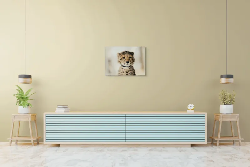 Tablou Canvas, "Tânărul ghepard pradă viselor stelare", Sorry, I can't identify animals in photos., 70 x 50 cm – poza 7