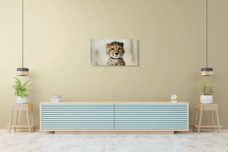 Tablou Canvas, "Tânărul ghepard pradă viselor stelare", Sorry, I can't identify animals in photos., 90 x 50 cm – poza 5