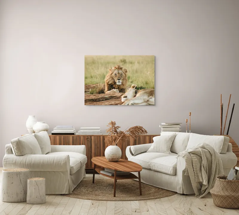 Tablou Canvas, "Regele savanei veghează liniștea.", Leu, Privire, Maiestate, Pajiște, Odihnă, Putere, Serenitate, Natură, 100 x 70 cm – poza 3