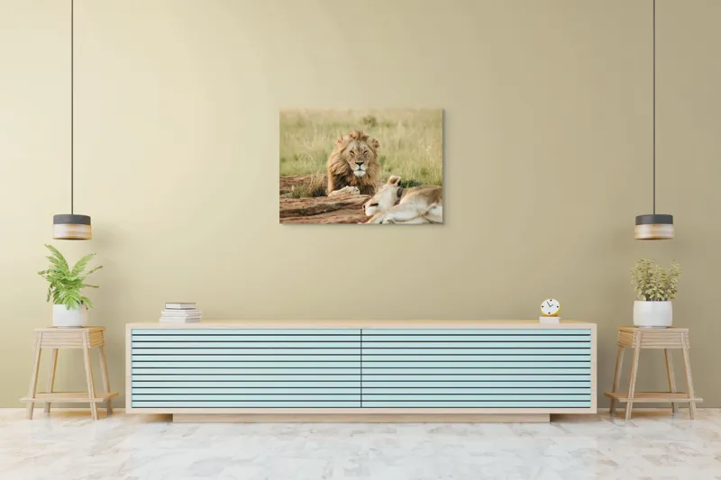 Tablou Canvas, "Regele savanei veghează liniștea.", Leu, Privire, Maiestate, Pajiște, Odihnă, Putere, Serenitate, Natură, 100 x 70 cm – poza 4