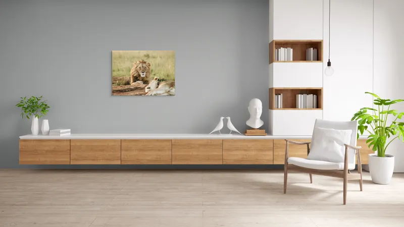 Tablou Canvas, "Regele savanei veghează liniștea.", Leu, Privire, Maiestate, Pajiște, Odihnă, Putere, Serenitate, Natură, 100 x 70 cm – poza 6