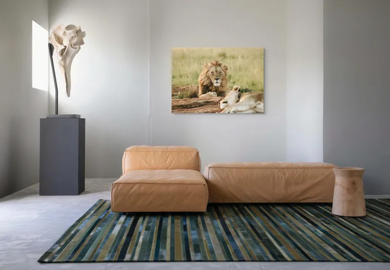 Tablou Canvas, "Regele savanei veghează liniștea.", Leu, Privire, Maiestate, Pajiște, Odihnă, Putere, Serenitate, Natură, 100 x 70 cm – poza 7