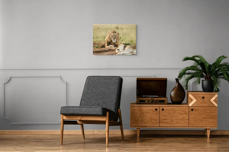Tablou Canvas, "Regele savanei veghează liniștea.", Leu, Privire, Maiestate, Pajiște, Odihnă, Putere, Serenitate, Natură, 70 x 50 cm – poza 4