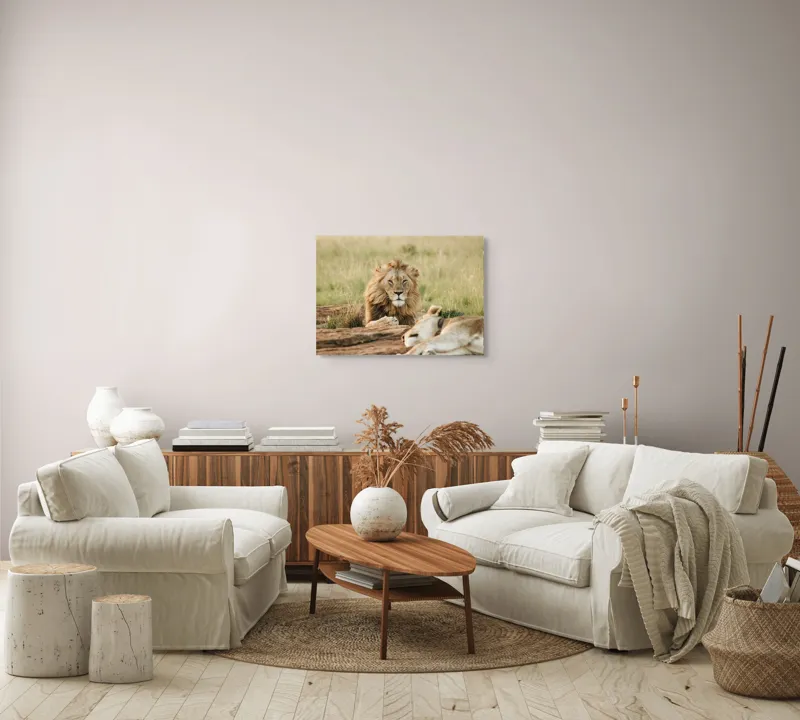 Tablou Canvas, "Regele savanei veghează liniștea.", Leu, Privire, Maiestate, Pajiște, Odihnă, Putere, Serenitate, Natură, 70 x 50 cm – poza 6