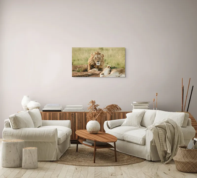 Tablou Canvas, "Regele savanei veghează liniștea.", Leu, Privire, Maiestate, Pajiște, Odihnă, Putere, Serenitate, Natură, 90 x 50 cm – poza 4