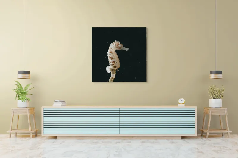Tablou Canvas, "Căluț de mare în adâncuri misterioase", I don't know who this is., 100 x 100 cm – poza 5