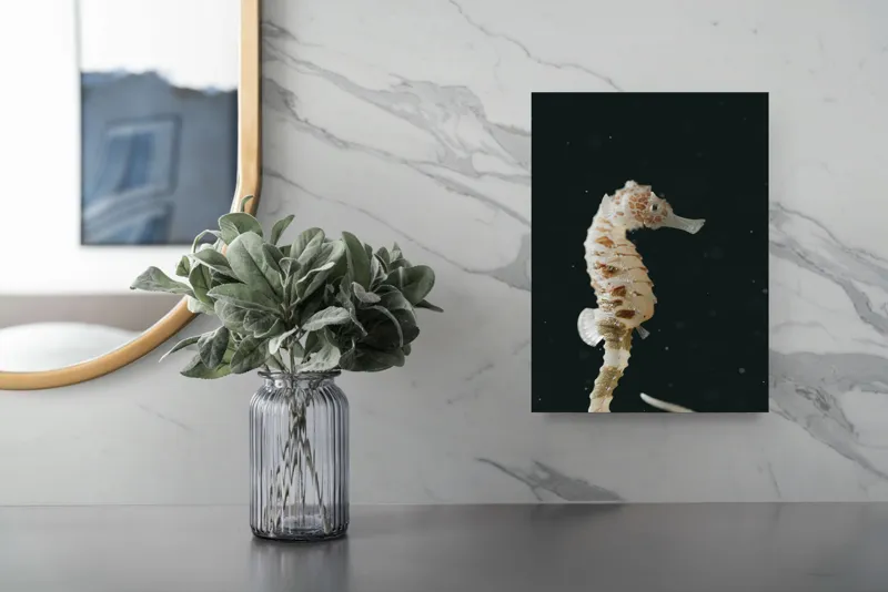 Tablou Canvas, "Căluț de mare în adâncuri misterioase", I don't know who this is., 26 x 39 cm – poza 4