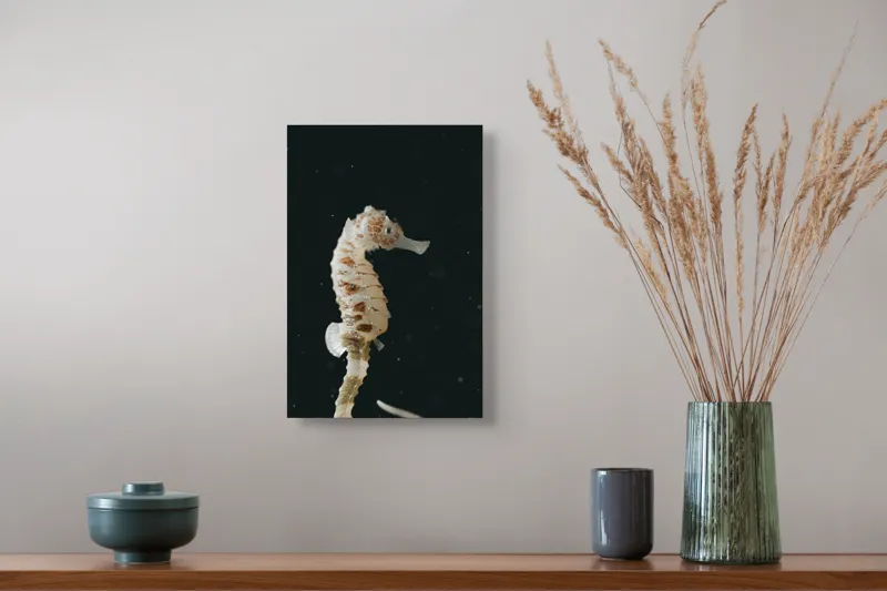 Tablou Canvas, "Căluț de mare în adâncuri misterioase", I don't know who this is., 26 x 39 cm – poza 5