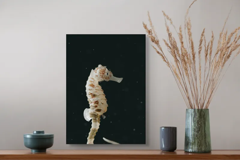 Tablou Canvas, "Căluț de mare în adâncuri misterioase", I don't know who this is., 39 x 54 cm – poza 3