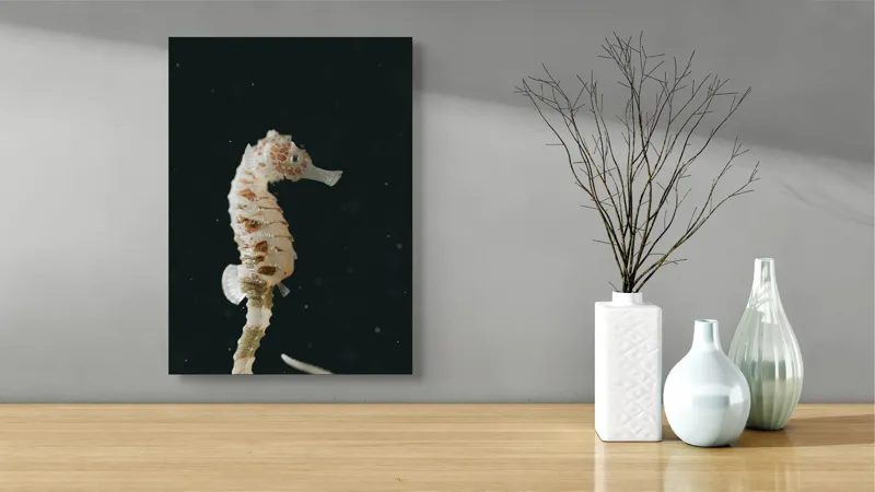 Tablou Canvas, "Căluț de mare în adâncuri misterioase", I don't know who this is., 39 x 54 cm – poza 4