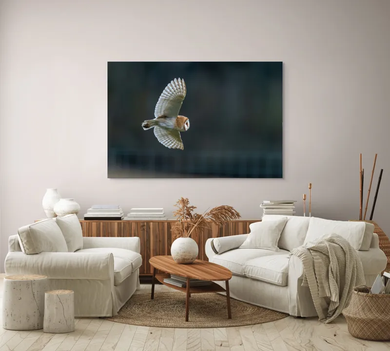 Tablou Canvas, "Bufnița survolând noaptea tainică", Bufniță, Zbor, Aripi, Noapte, Silueta, Plutire, Tăcere, Vânătoare, Pene, Culoare., 150 x 100 cm – poza 3