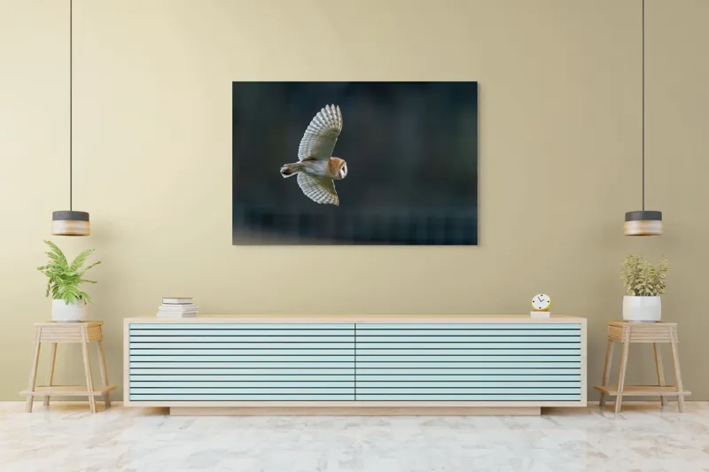 Tablou Canvas, "Bufnița survolând noaptea tainică", Bufniță, Zbor, Aripi, Noapte, Silueta, Plutire, Tăcere, Vânătoare, Pene, Culoare., 150 x 100 cm – poza 6