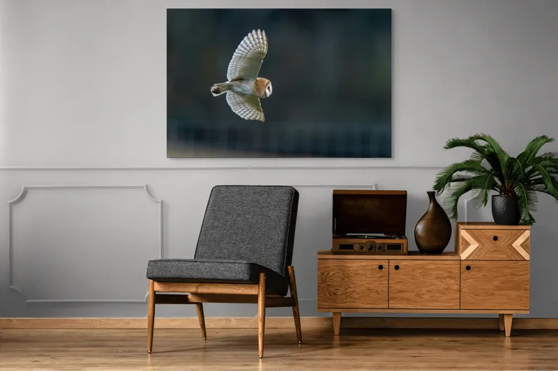 Tablou Canvas, "Bufnița survolând noaptea tainică", Bufniță, Zbor, Aripi, Noapte, Silueta, Plutire, Tăcere, Vânătoare, Pene, Culoare., 150 x 100 cm – poza 8