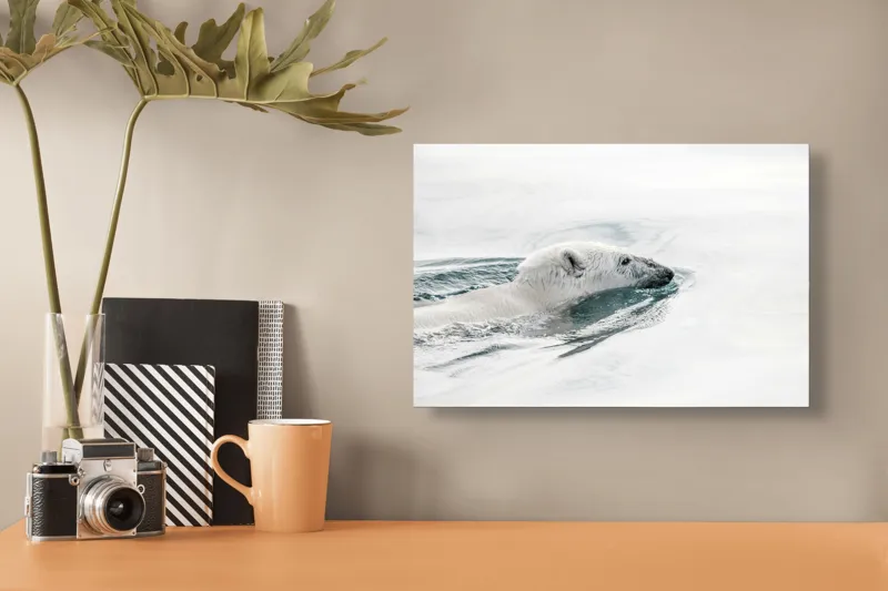 Tablou Canvas, "Urs polar înotând în oceanul arctic", Urs, Alb, Apă, Rece, Calm, Natură, Arctice, Fragilitate, Singurătate, Liniște, 39 x 26 cm – poza 3