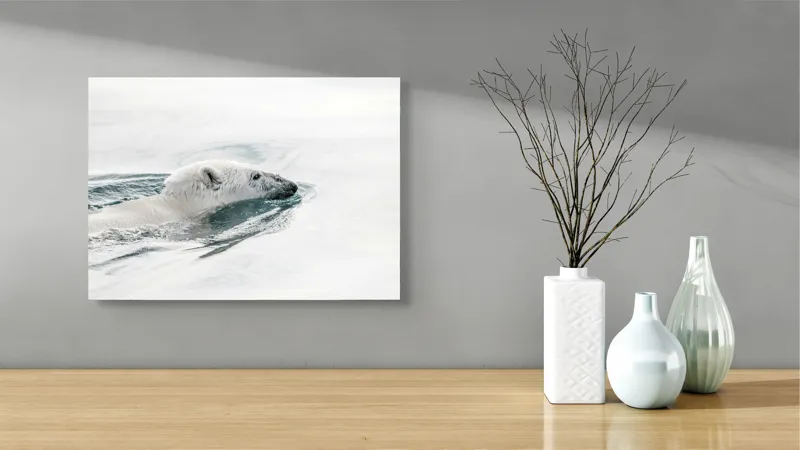 Tablou Canvas, "Urs polar înotând în oceanul arctic", Urs, Alb, Apă, Rece, Calm, Natură, Arctice, Fragilitate, Singurătate, Liniște, 54 x 39 cm – poza 3