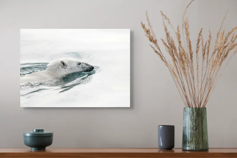 Tablou Canvas, "Urs polar înotând în oceanul arctic", Urs, Alb, Apă, Rece, Calm, Natură, Arctice, Fragilitate, Singurătate, Liniște, 54 x 39 cm – poza 4