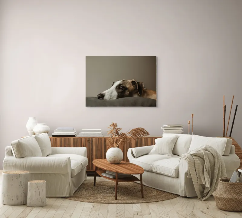 Tablou Canvas, "Visând spre orizontul necunoscut", Calm, Contemplative, Gentle, Whippet, Peaceful, 100 x 70 cm – poza 3