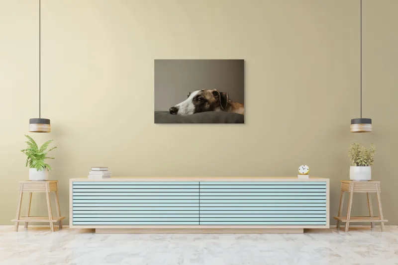 Tablou Canvas, "Visând spre orizontul necunoscut", Calm, Contemplative, Gentle, Whippet, Peaceful, 100 x 70 cm – poza 4