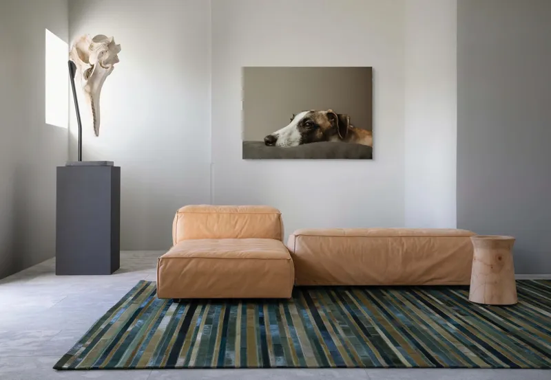Tablou Canvas, "Visând spre orizontul necunoscut", Calm, Contemplative, Gentle, Whippet, Peaceful, 100 x 70 cm – poza 7