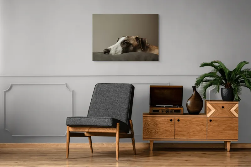 Tablou Canvas, "Visând spre orizontul necunoscut", Calm, Contemplative, Gentle, Whippet, Peaceful, 100 x 70 cm – poza 8