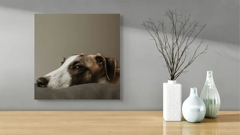 Tablou Canvas, "Visând spre orizontul necunoscut", Calm, Contemplative, Gentle, Whippet, Peaceful, 50 x 50 cm – poza 3