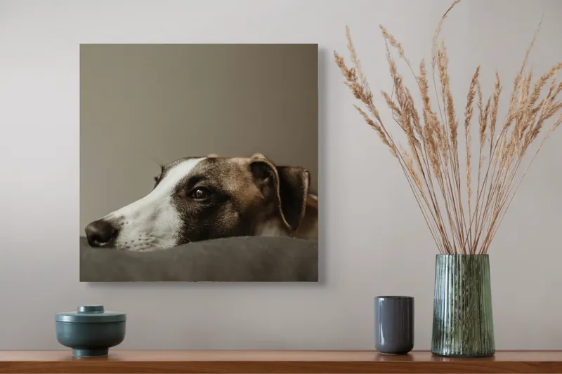 Tablou Canvas, "Visând spre orizontul necunoscut", Calm, Contemplative, Gentle, Whippet, Peaceful, 50 x 50 cm – poza 4