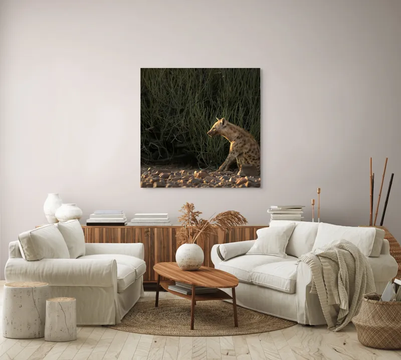Tablou Canvas, "Hiena în lumina apusului african", Hyena, Pământ, Vegetație, Apus, Solitudine, Observație, Natură, 100 x 100 cm – poza 3
