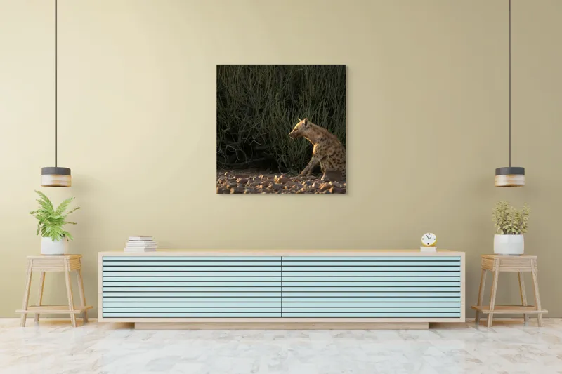 Tablou Canvas, "Hiena în lumina apusului african", Hyena, Pământ, Vegetație, Apus, Solitudine, Observație, Natură, 100 x 100 cm – poza 5