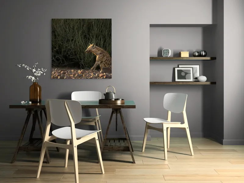 Tablou Canvas, "Hiena în lumina apusului african", Hyena, Pământ, Vegetație, Apus, Solitudine, Observație, Natură, 100 x 100 cm – poza 6