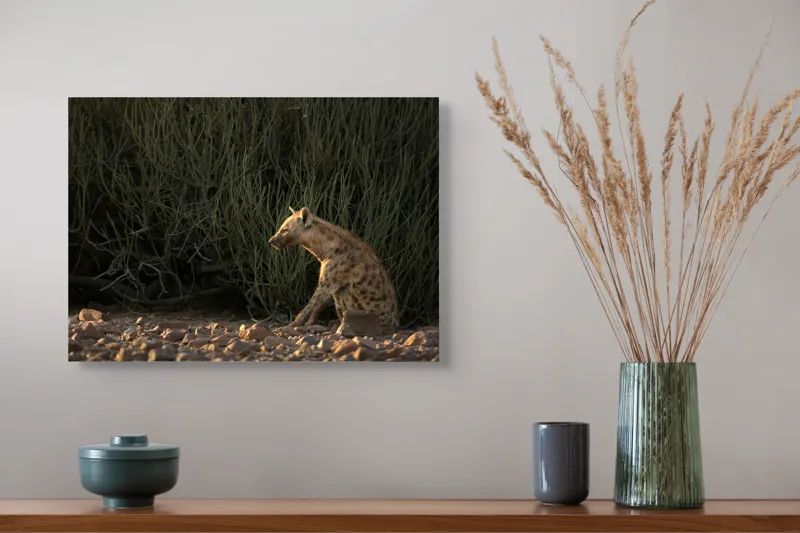 Tablou Canvas, "Hiena în lumina apusului african", Hyena, Pământ, Vegetație, Apus, Solitudine, Observație, Natură, 54 x 39 cm – poza 4
