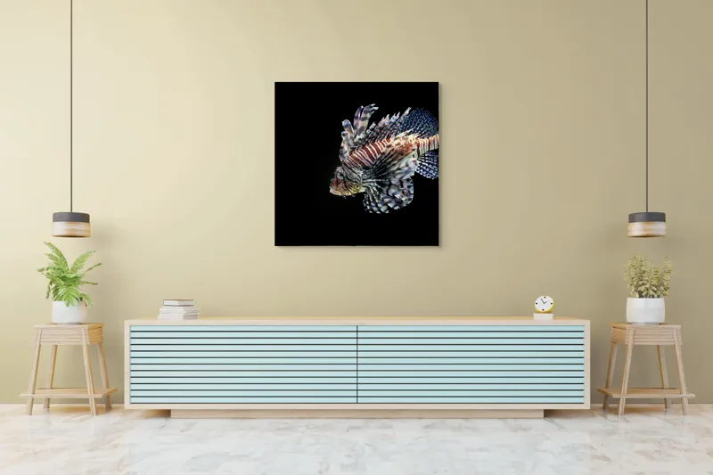 Tablou Canvas, "Peștișorul leu în adâncuri misterioase", Pește, Aripi, Dungi, Colorat, Elegant, Acvatic, Exotic, Spectaculos, Solitar, Plutire, 100 x 100 cm – poza 5