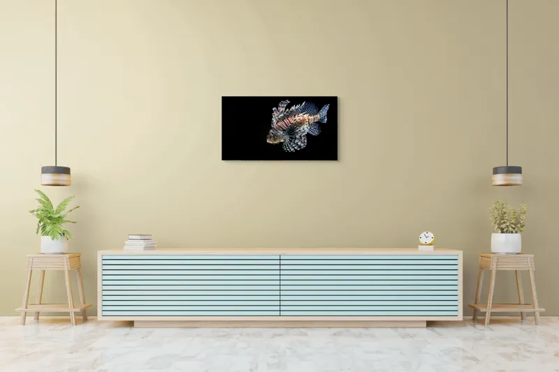 Tablou Canvas, "Peștișorul leu în adâncuri misterioase", Pește, Aripi, Dungi, Colorat, Elegant, Acvatic, Exotic, Spectaculos, Solitar, Plutire, 90 x 50 cm – poza 5