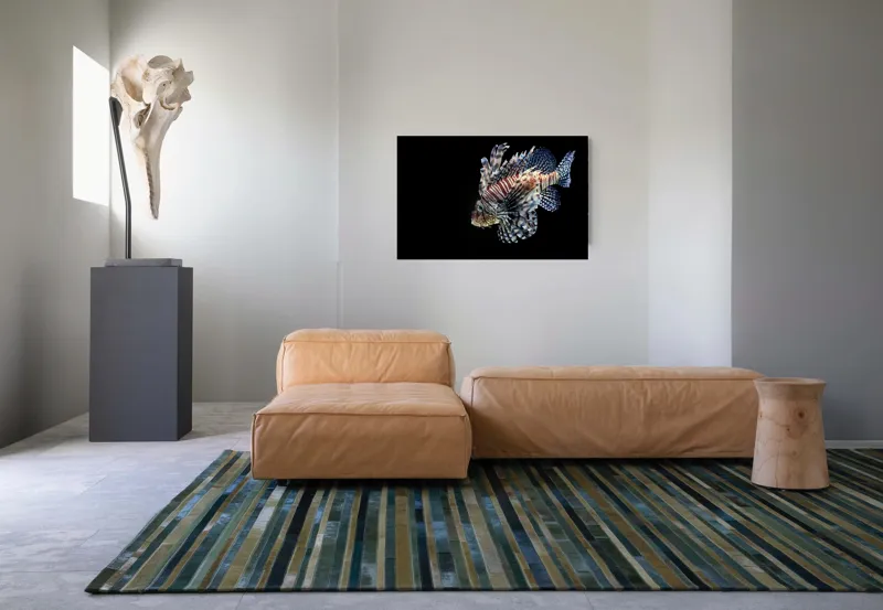 Tablou Canvas, "Peștișorul leu în adâncuri misterioase", Pește, Aripi, Dungi, Colorat, Elegant, Acvatic, Exotic, Spectaculos, Solitar, Plutire, 90 x 50 cm – poza 8