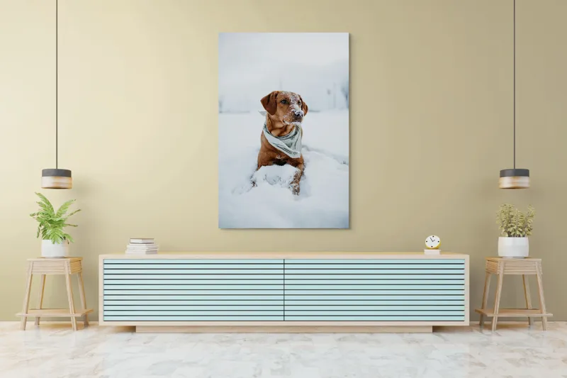 Tablou Canvas, "Cățel joacă în zăpada albă", Neștiind Cine Este, 100 x 150 cm – poza 4
