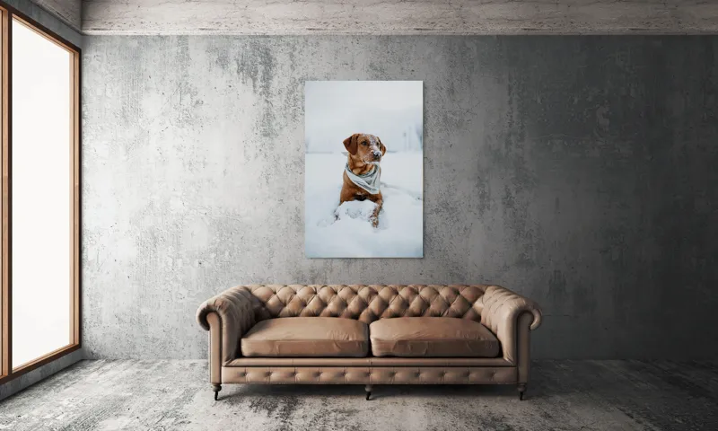 Tablou Canvas, "Cățel joacă în zăpada albă", Neștiind Cine Este, 100 x 150 cm – poza 6