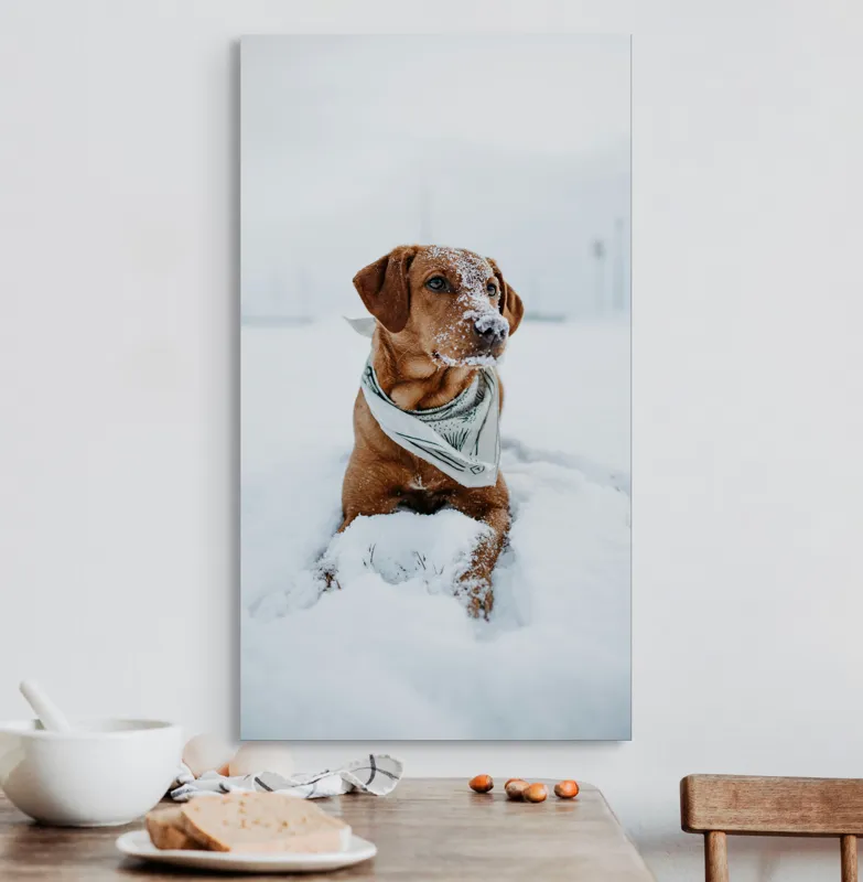 Tablou Canvas, "Cățel joacă în zăpada albă", Neștiind Cine Este, 50 x 90 cm – poza 3
